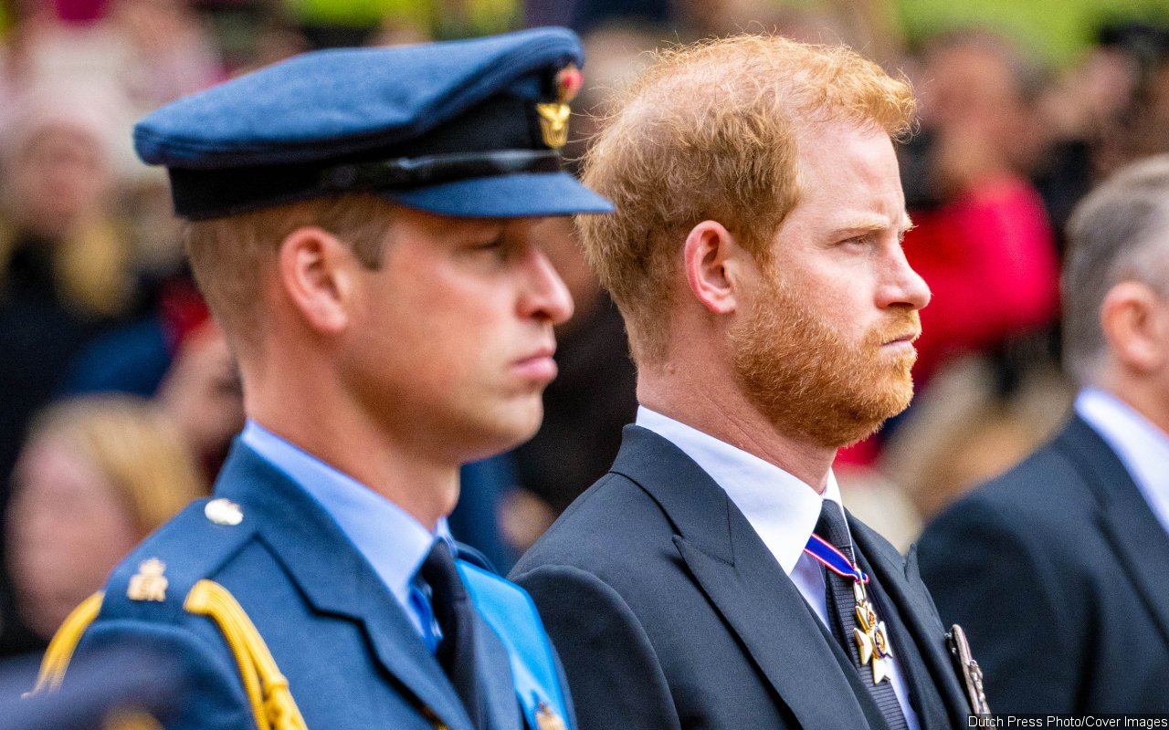 Prince William 'Stunned' by Prince Harry's 'Secret' Attempts to Call a Truce - Vimarsana News