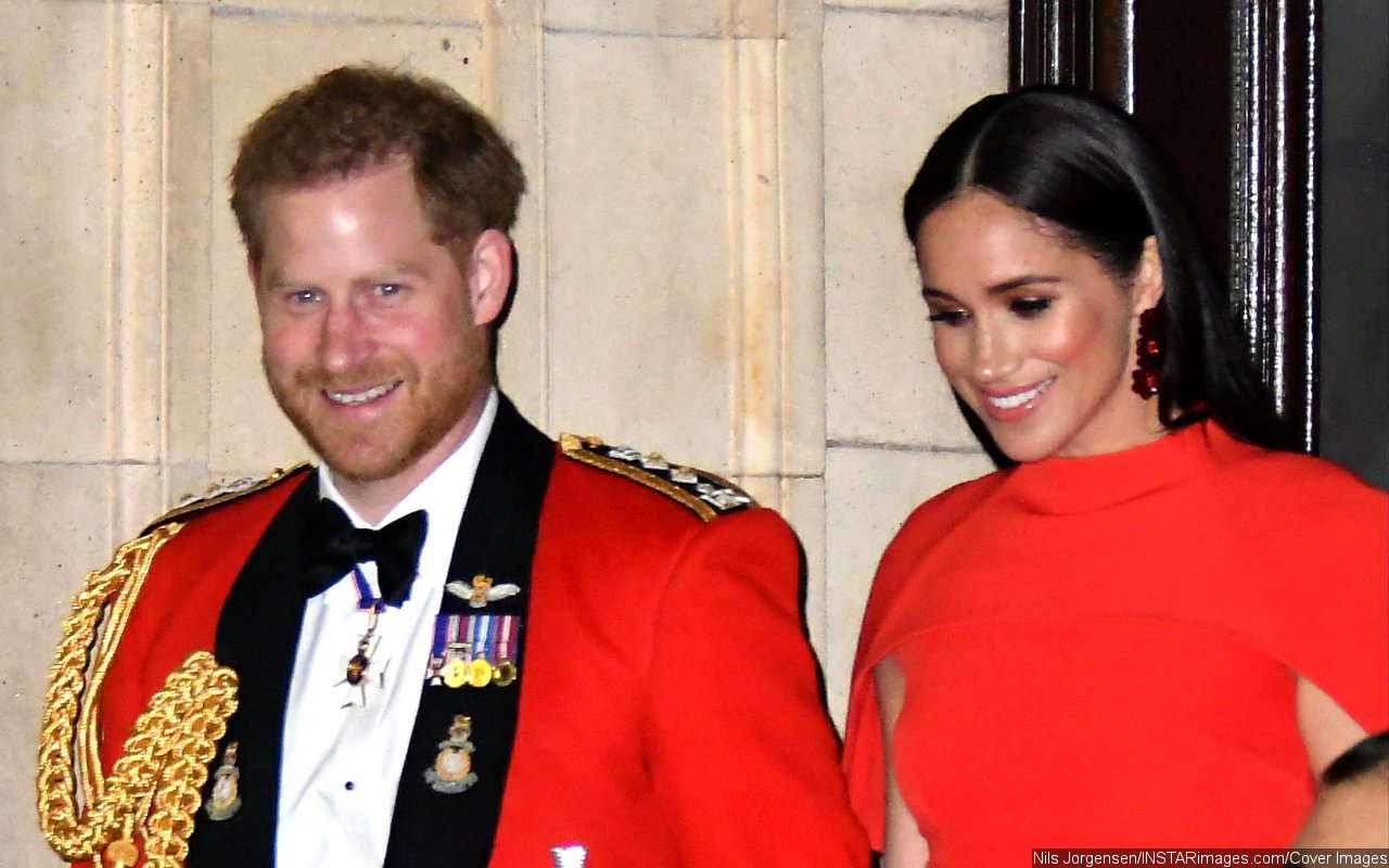 Prince Harry and Meghan Markle Support Calls for Adverts to Break the Gender Binary - Vimarsana News