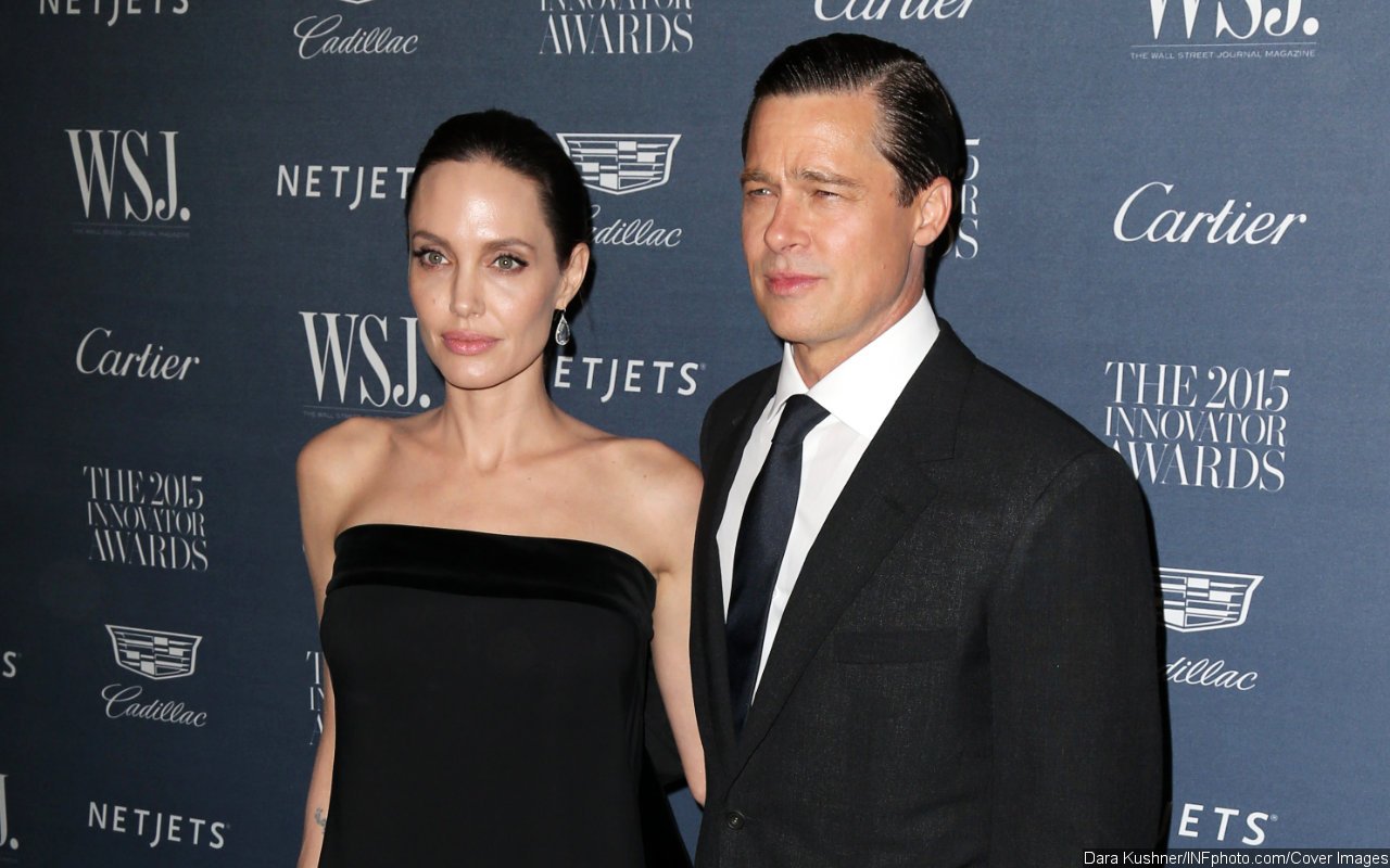 Brad Pitt and Angelina Jolie Agree to Mediation Amid Vineyard Dispute