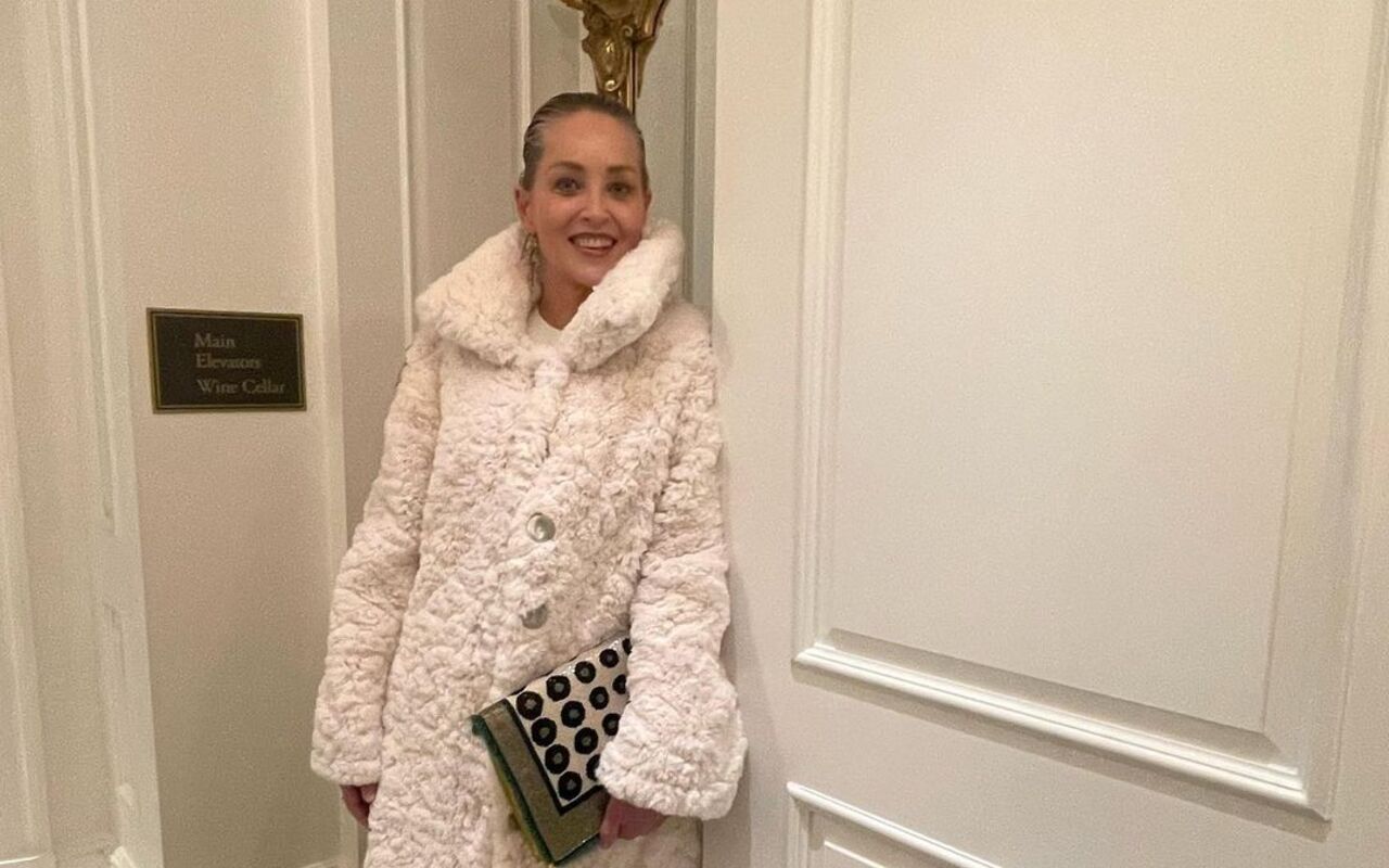 Sharon Stone Recalls Her Shock When She's Mobbed by Fans at Red Light After 'Basic Instinct' Release