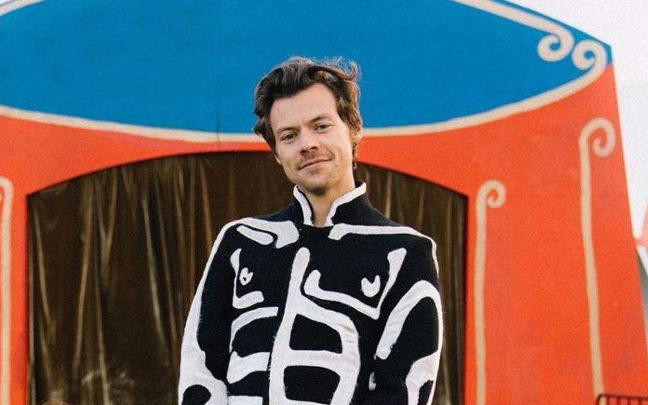 Harry Styles Raises $6.5 Million for Charity During His 'Love On Tour'