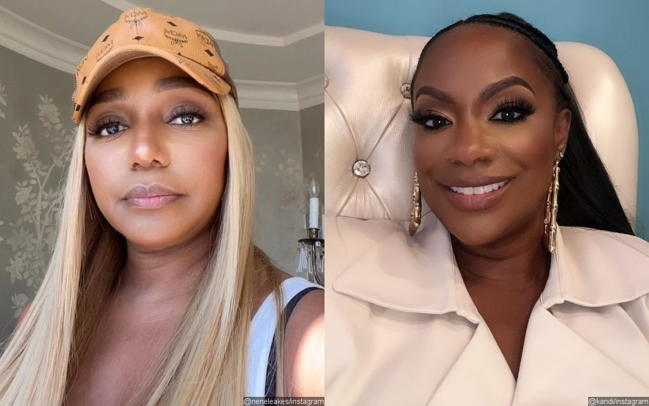 NeNe Leakes Shades 'Not Exciting' Kandi Burruss While Ranking 'RHOA' Stars