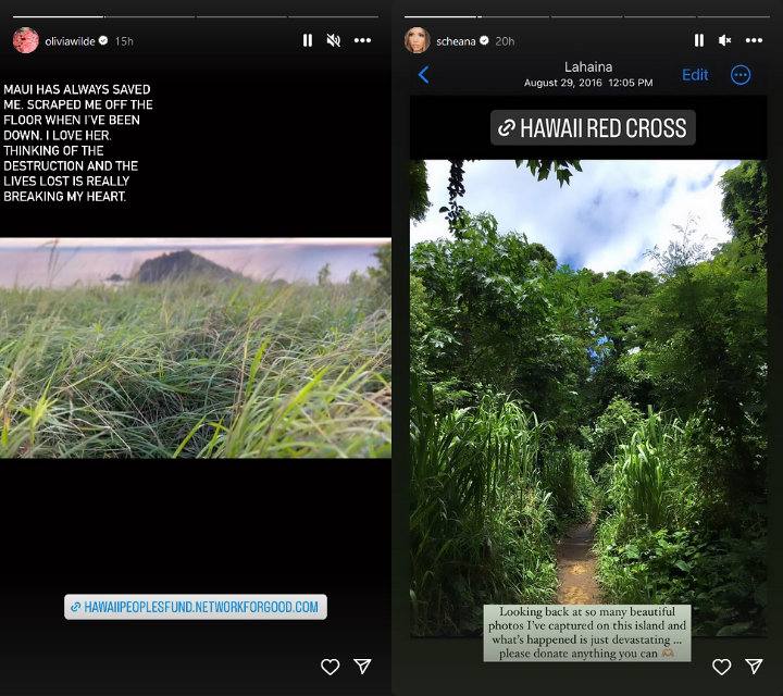 Olivia Wilde and Scheana Shay's Instagram Stories