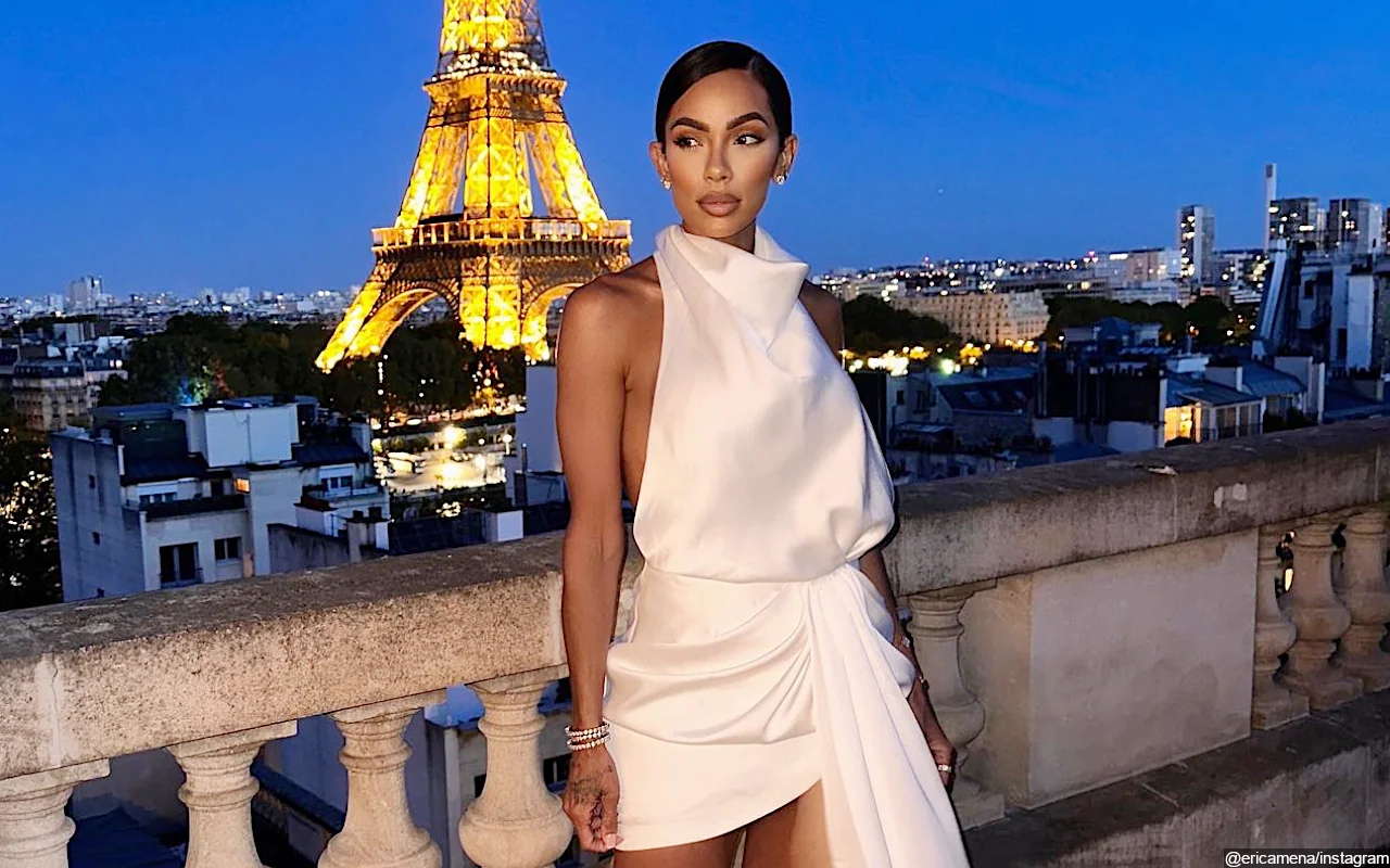 Fired 'LHH' Star Erica Mena Allegedly Lied to Police About Being Pregnant During Bar Fight Arrest