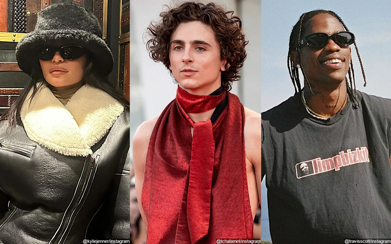 Kylie Jenner and Timothee Chalamet Make Out at Beyonce's Concert That Travis Scott Also Attends