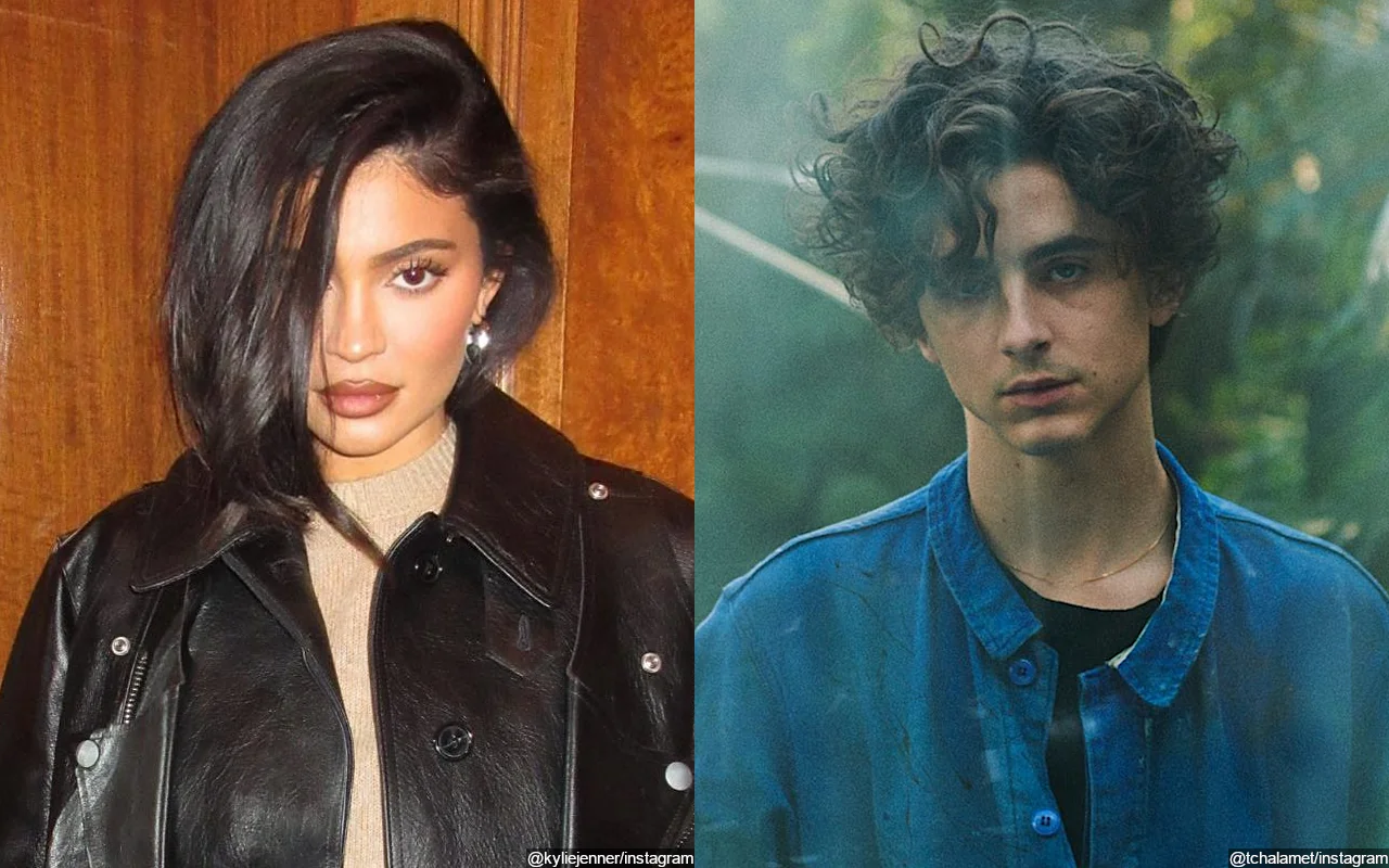 Kylie Jenner's Beau Timothee Chalamet's Future on 'The Kardashians' Is Revealed