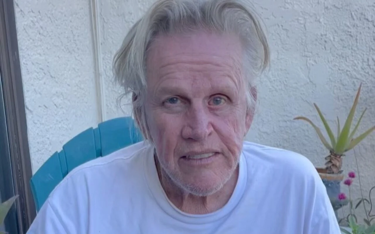 Gary Busey May Need to Retake Driving Test Following Alleged Hit-and-Run