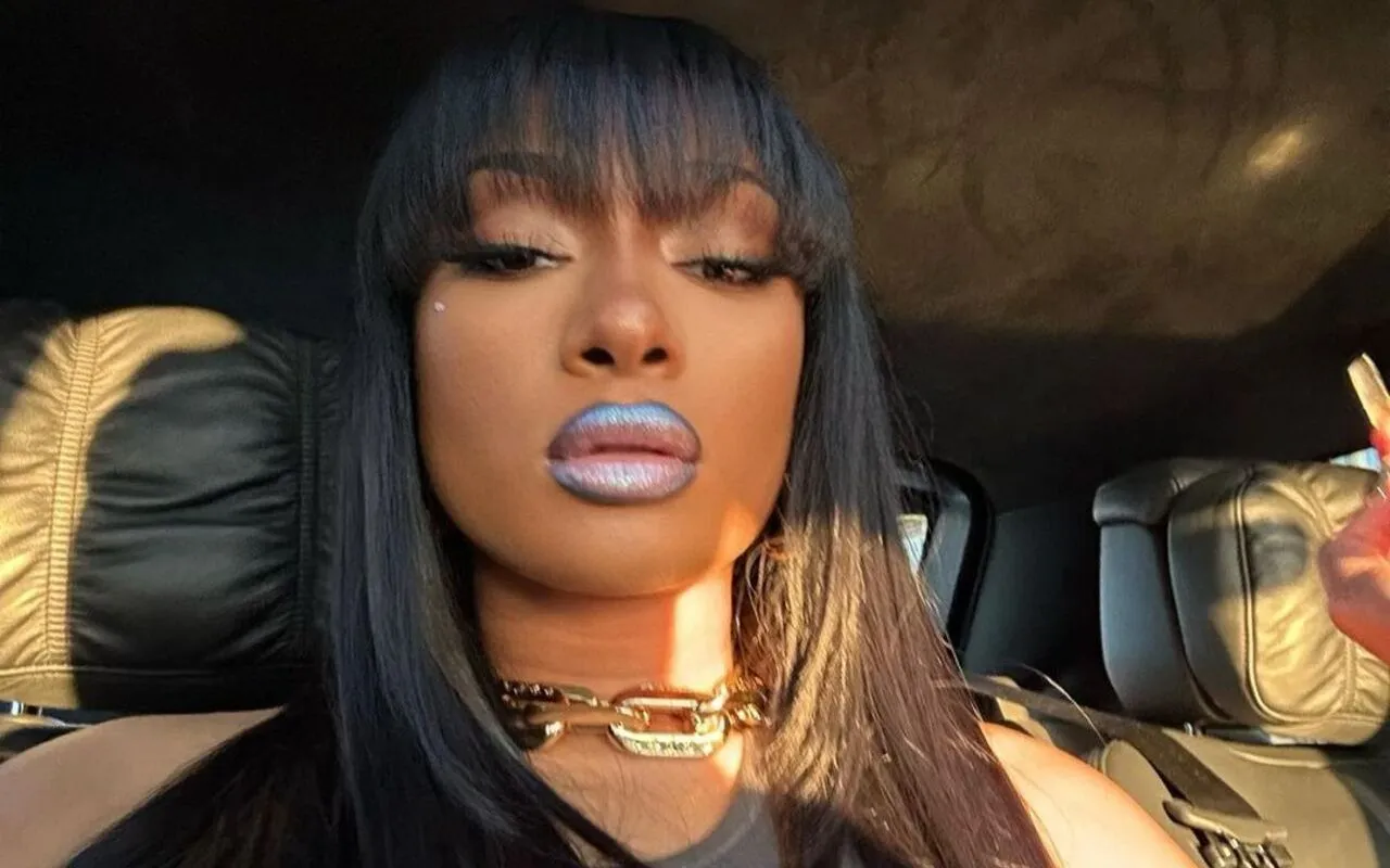 Megan Thee Stallion Likes to Be 'in Control' During Bedroom Romps
