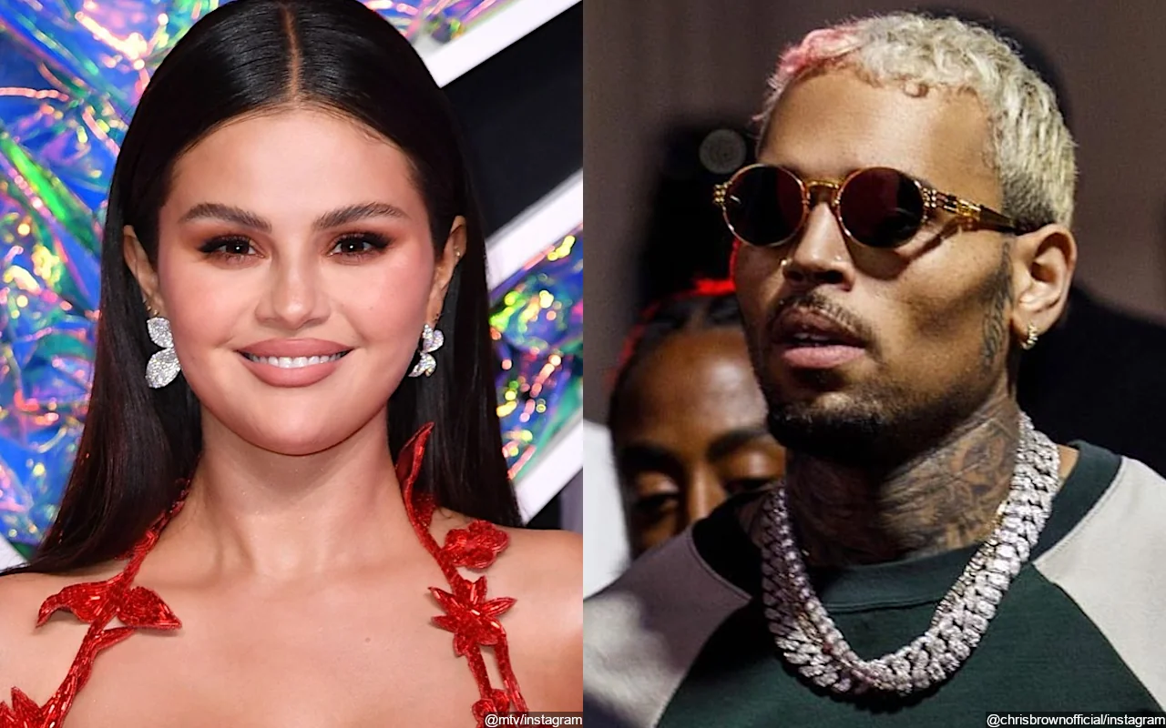 Selena Gomez Vows to Never Be a 'Meme' Again After Her Reaction to Chris Brown's VMAs Nod Went Viral