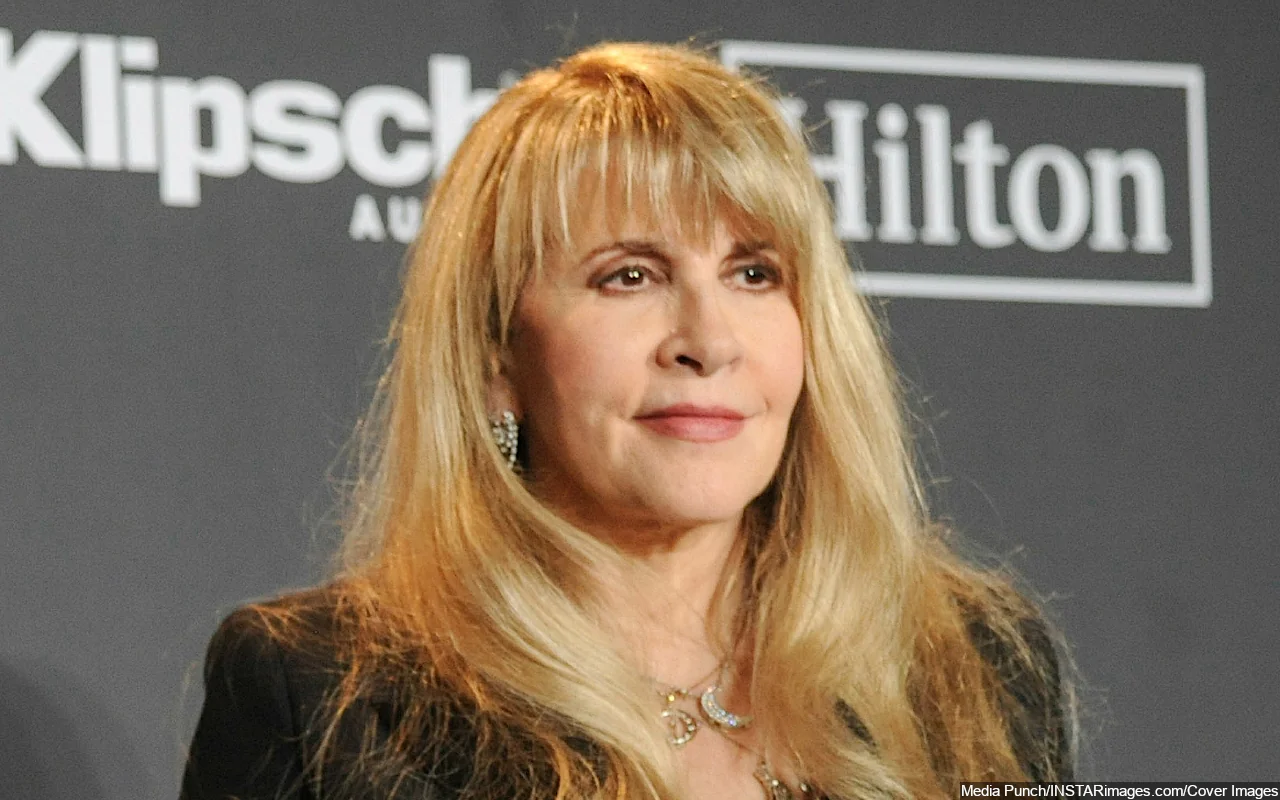 Stevie Nicks Praises Fleetwood Mac-Inspired Series 'Daisy Jones and The Six'