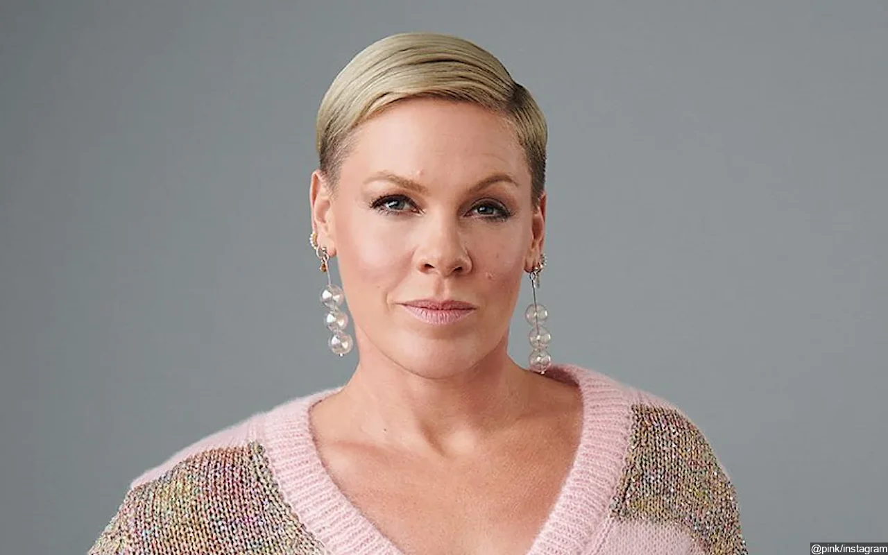 Pink Sincerely Apologizes for Postponing Concerts Due to Family Medical Emergency