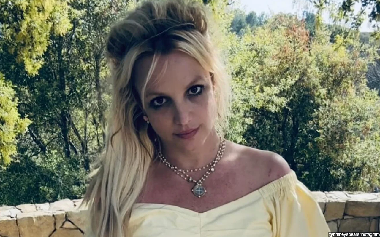 Britney Spears Hid Her Fear While Performing With Snake at MTV VMAs