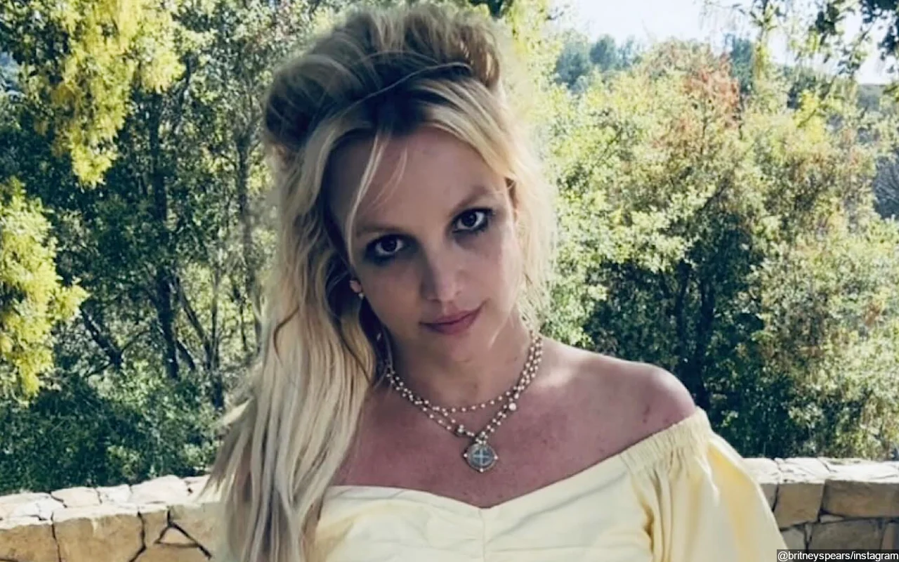 Britney Spears Strips Down to Birthday Suit in New NSFW Photo