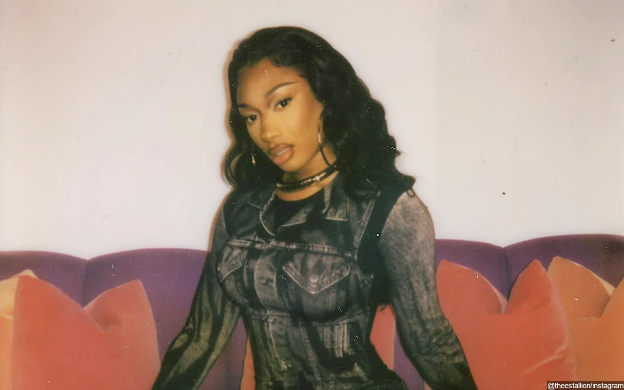 Megan Thee Stallion Unleashes Risque Picture to Tease New Single 'Cobra'