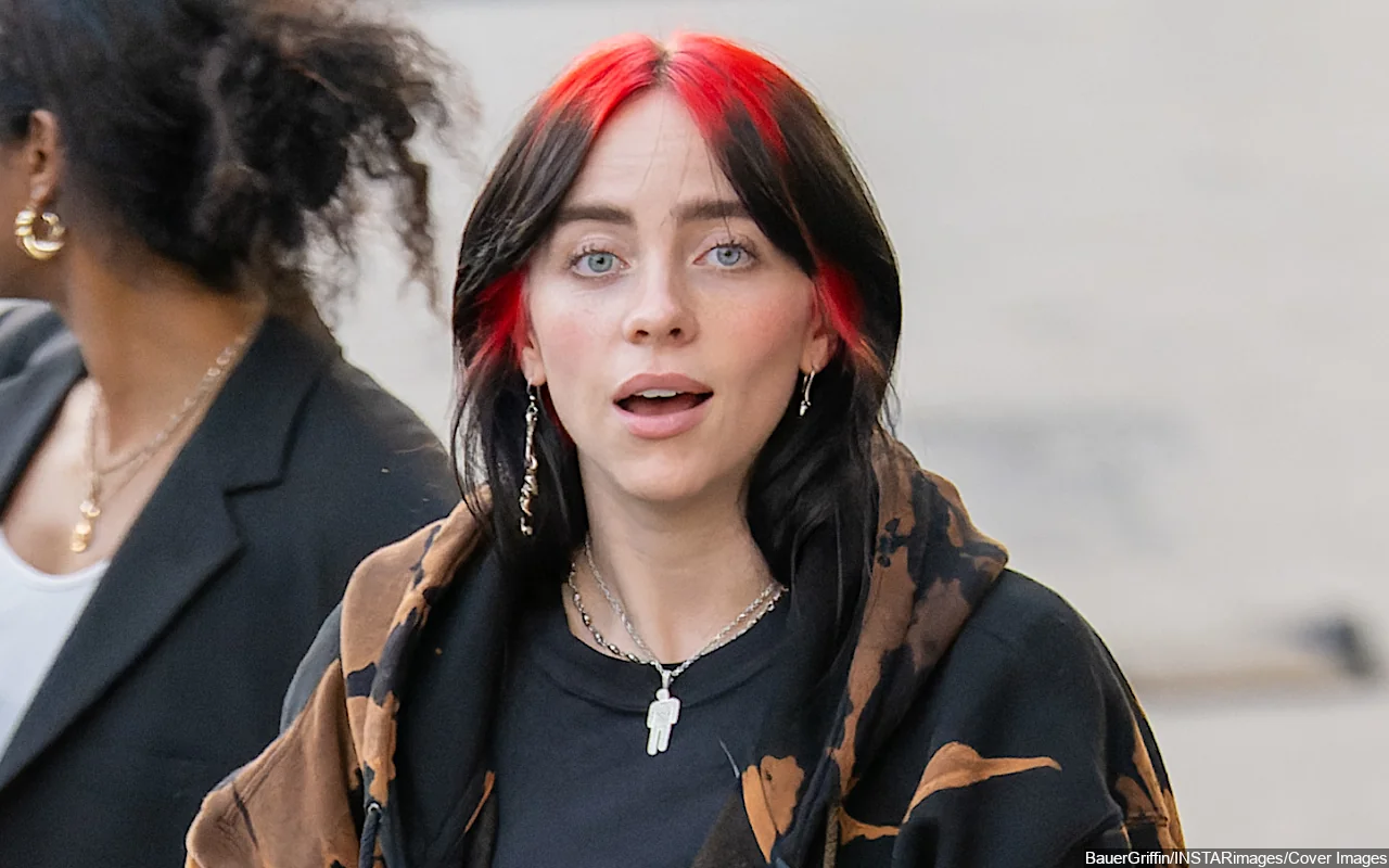 Billie Eilish Is 'Physically Attracted' to Women, But Can't Relate to Them