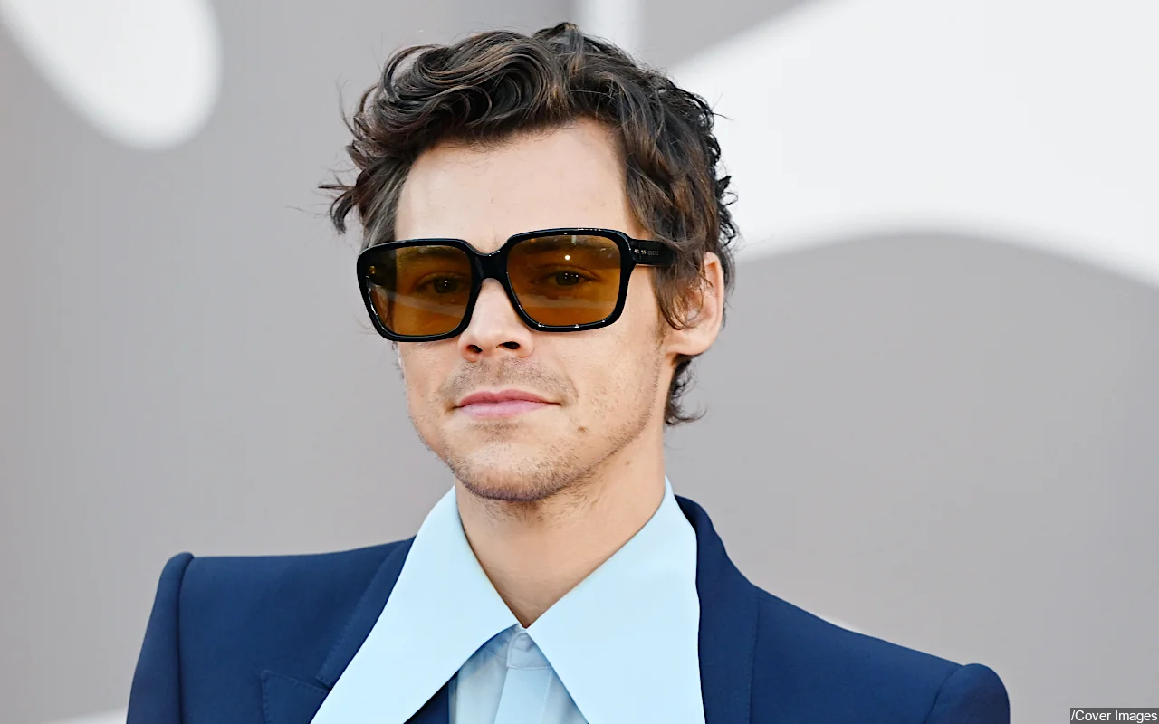 Harry Styles Poses for First Official Photo Since Dramatic Hair Transformation