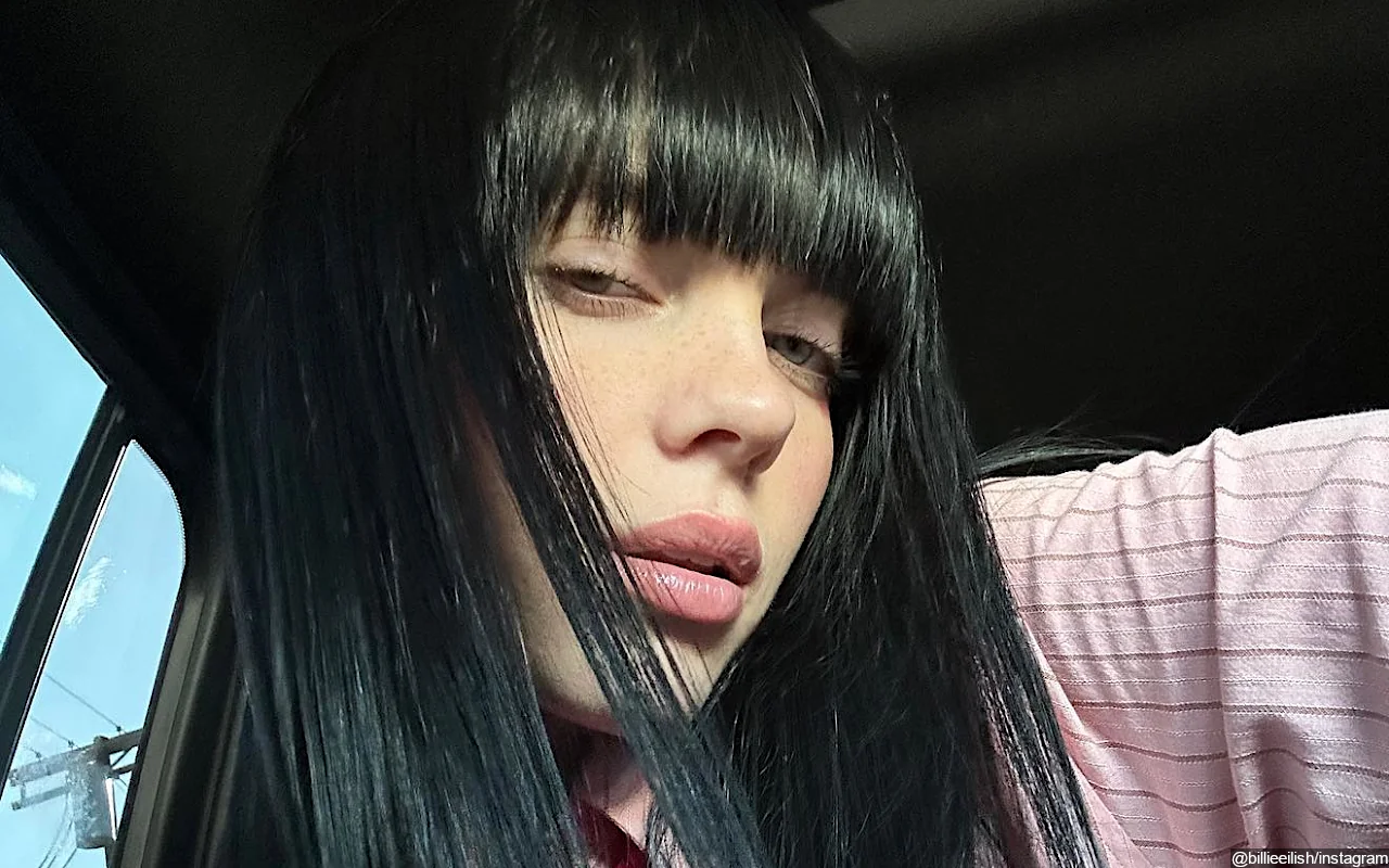 Billie Eilish Loses More Than 100K Instagram Followers After Confirming She's Gay