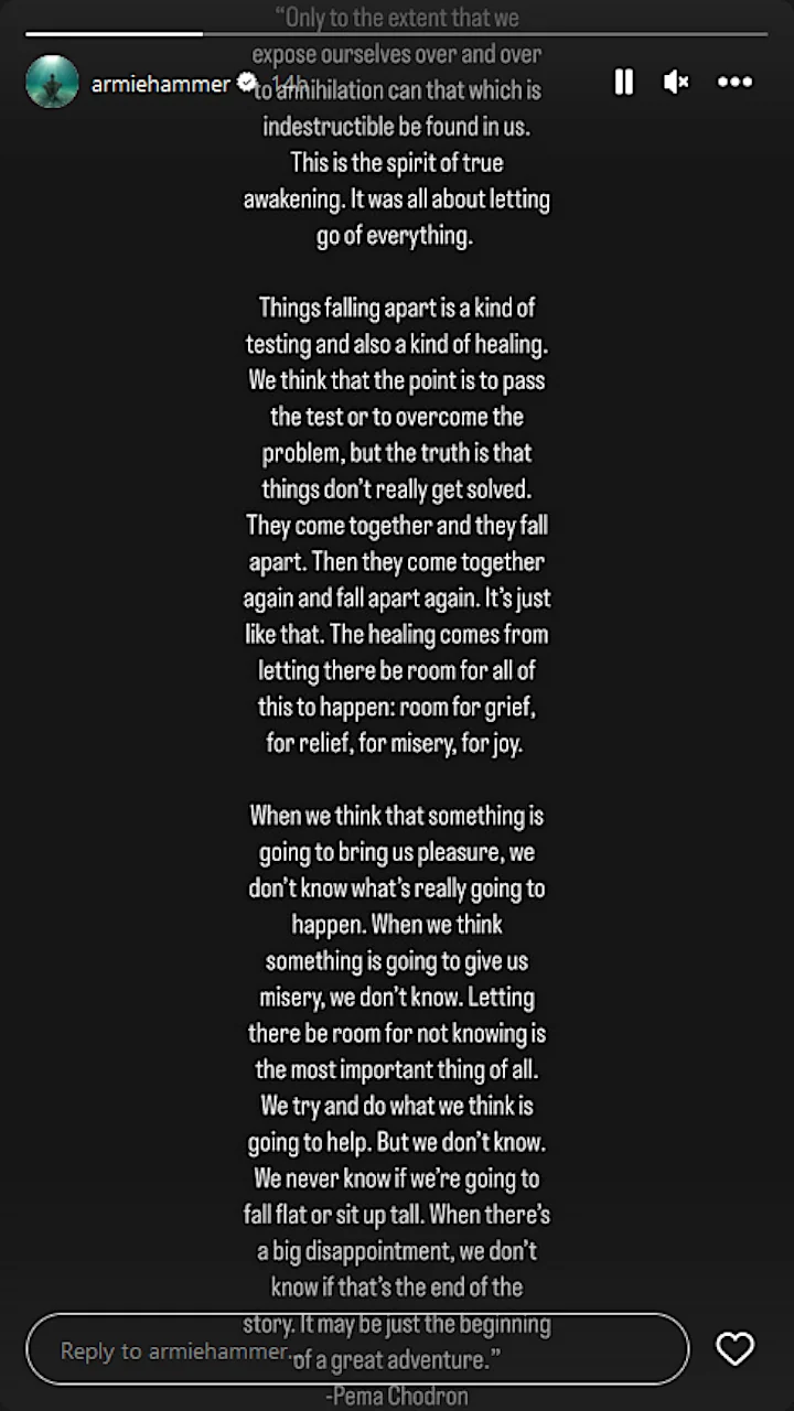 Armie Hammer's IG Story