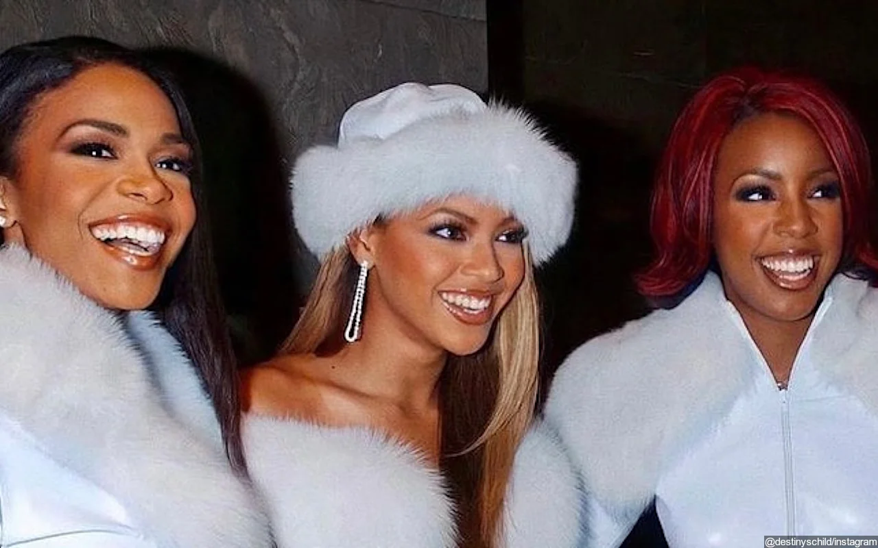 LeToya Luckett Calls Destiny's Child's Reunion at Beyonce's Concert Her
