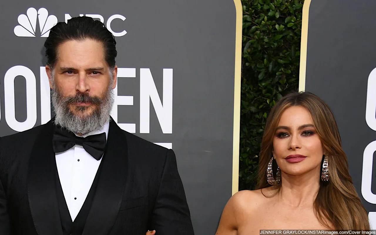 Sofia Vergara 'Surprised' by 'Respectful' Media Coverage About Her Divorce From Joe Manganiello 