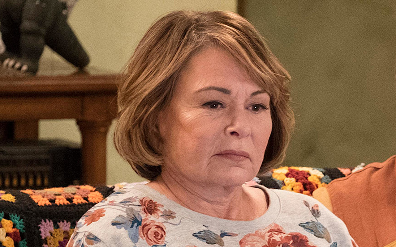 Roseanne Barr - 'Roseanne'