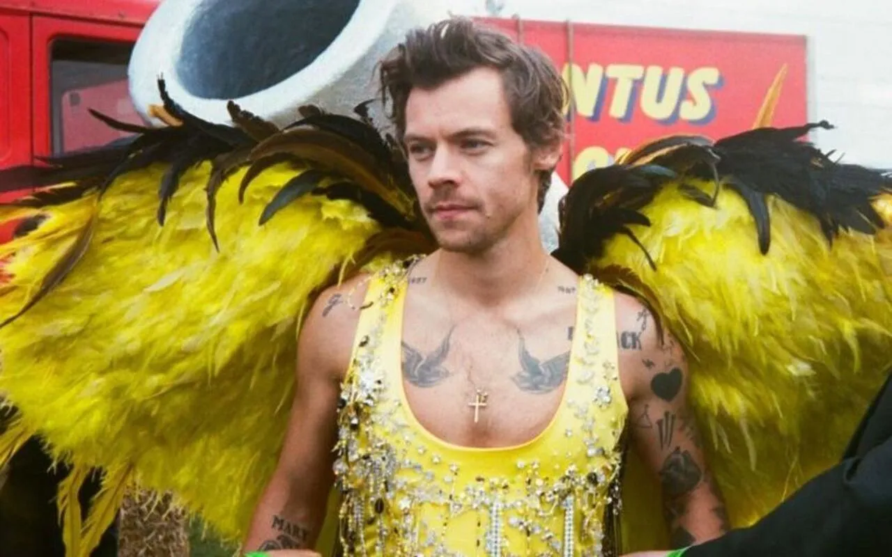 Harry Styles Earns Praise for Using Fashion as His 'Superpower'