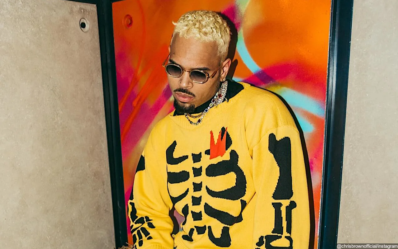 Chris Brown to Embark on '11:11 Tour' in Summer 2024