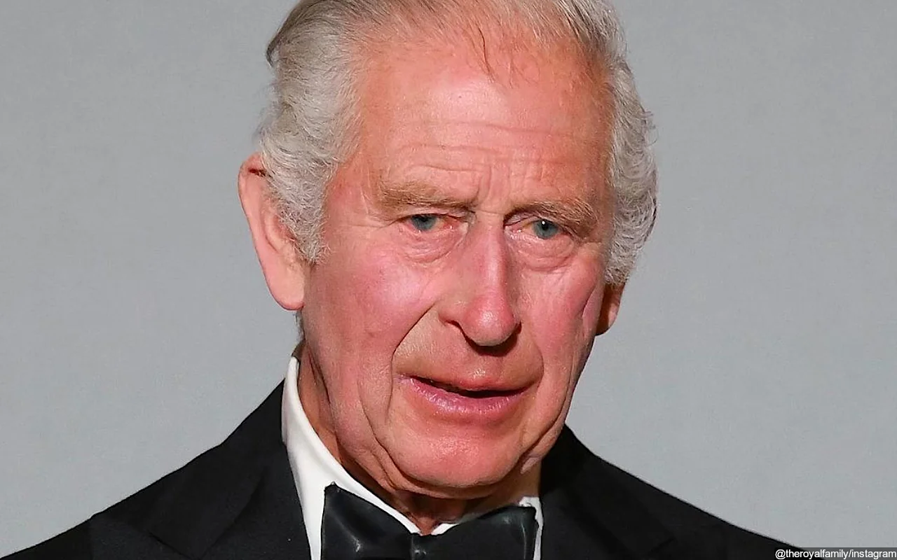 King Charles Resumes Royal Engagement After Getting Cancer Treatment