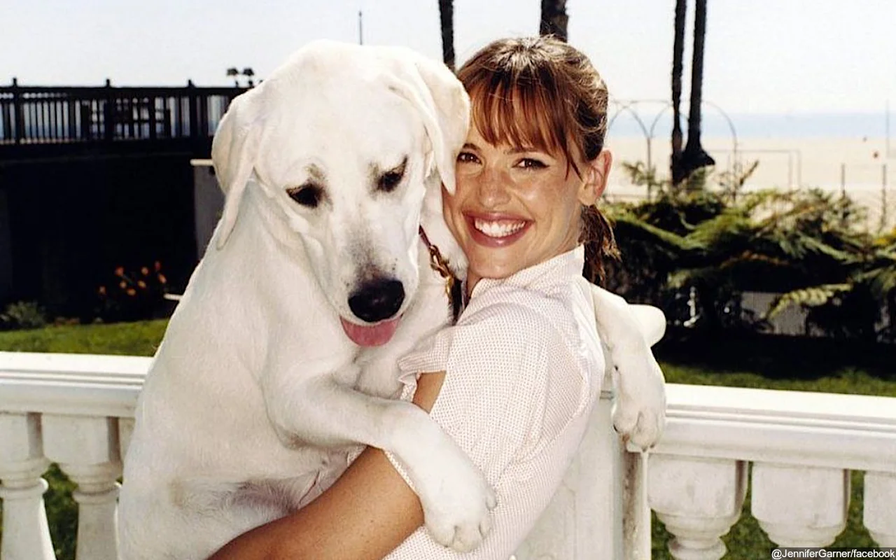 Jennifer Garner Still Devastated Over the Death of her Dog Martha Stewart