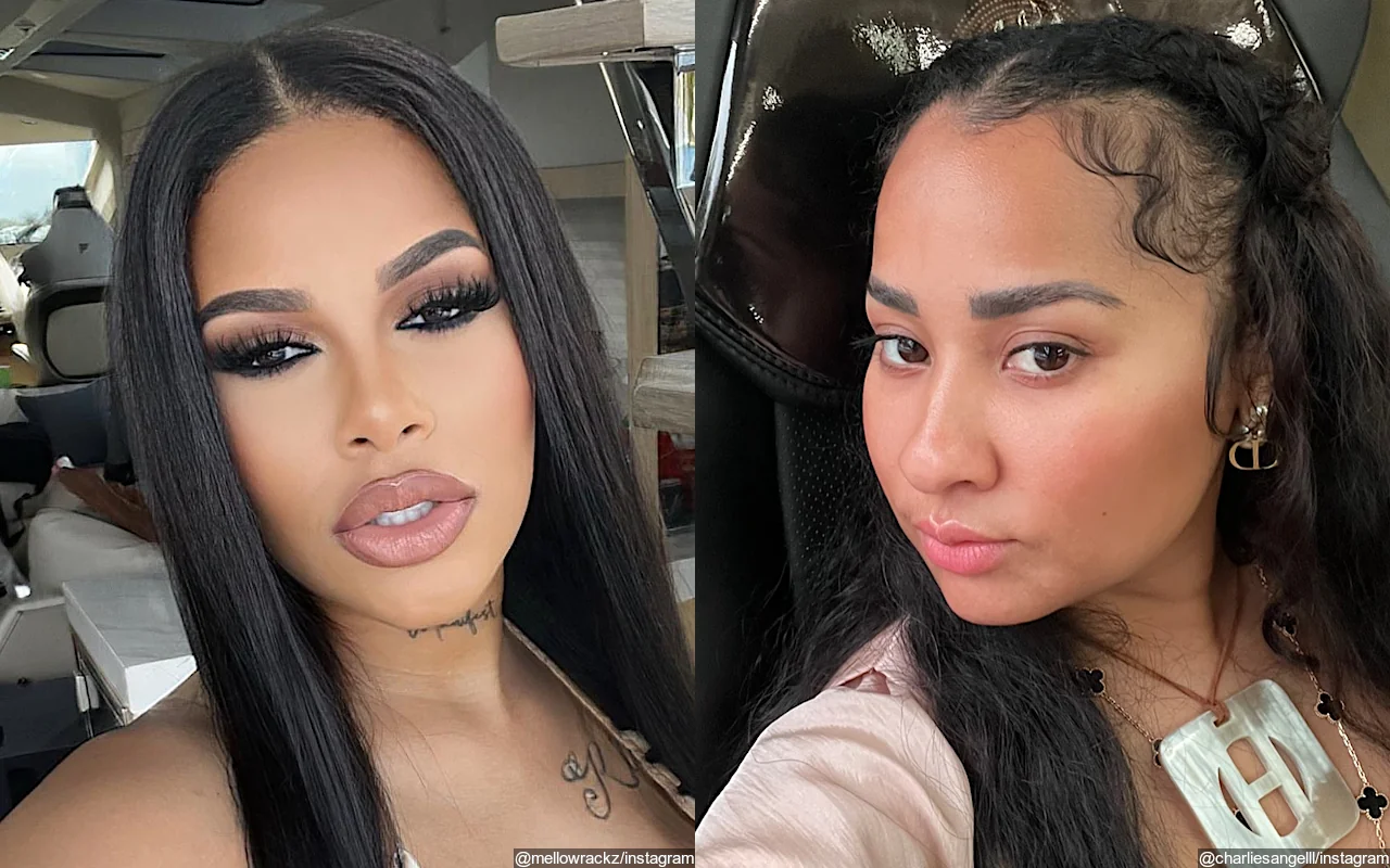 Waka Flocka Flame's Girlfriend Big MeL and Ex Tammy Rivera Appear Feuding, Trade Jabs Online