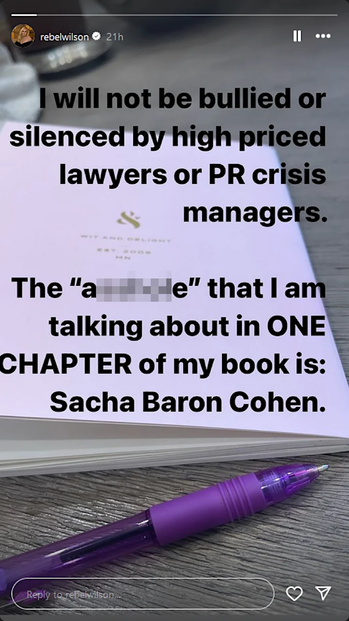 Rebel Wilson's Instagram Story