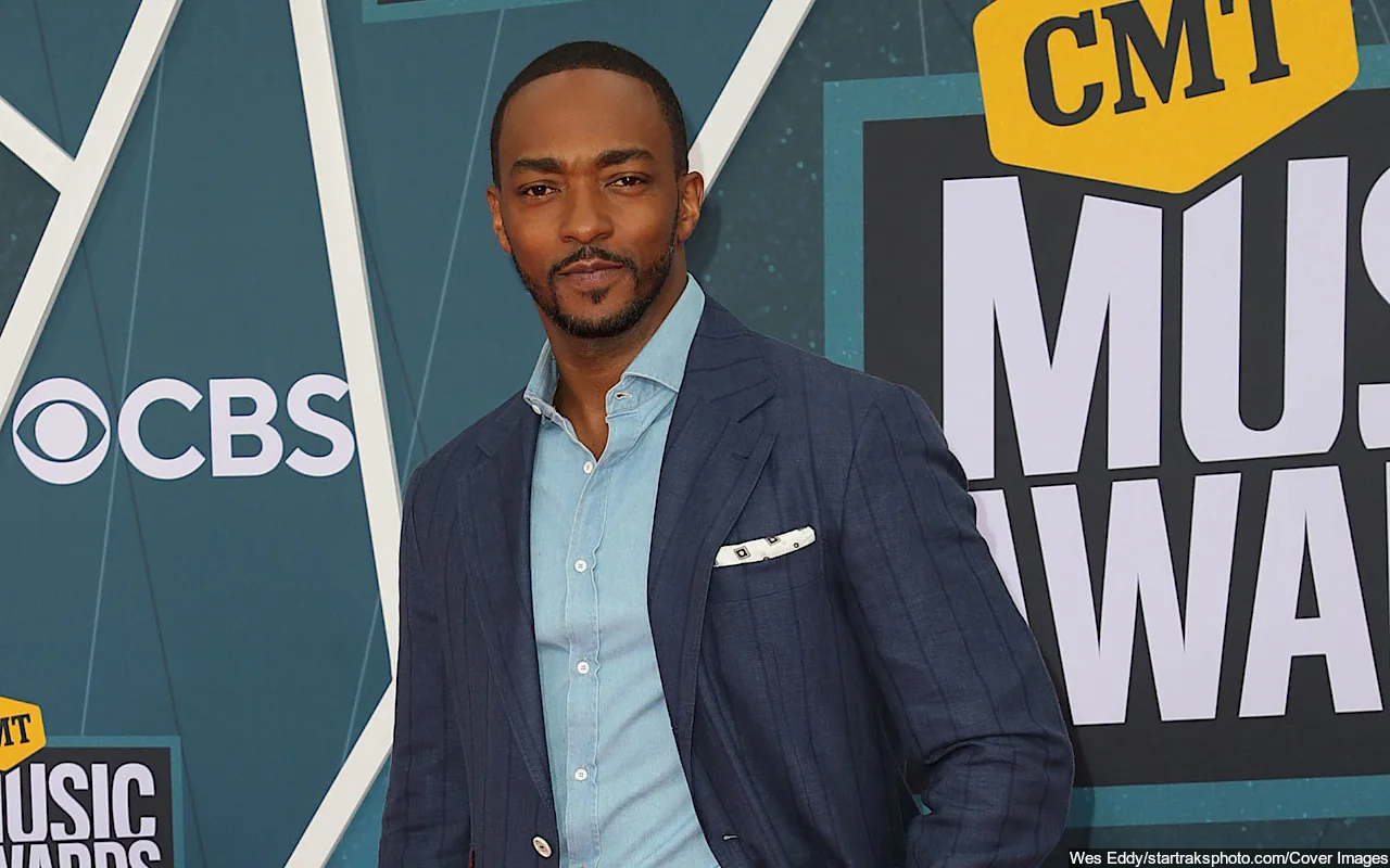 Anthony Mackie Defended After Called Out by Fan Over Rude Behavior