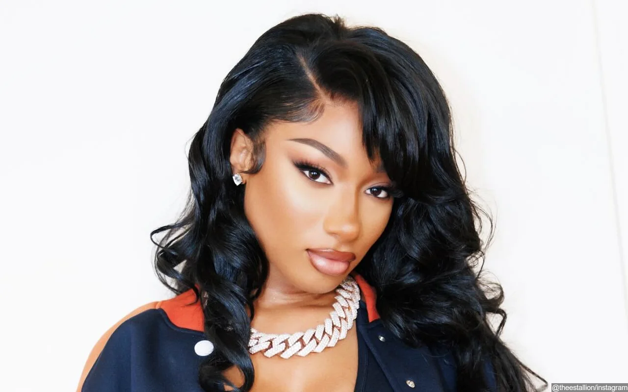 Megan Thee Stallion Applauded for Giving Fans 'Opportunity' With Low Ticket Prices