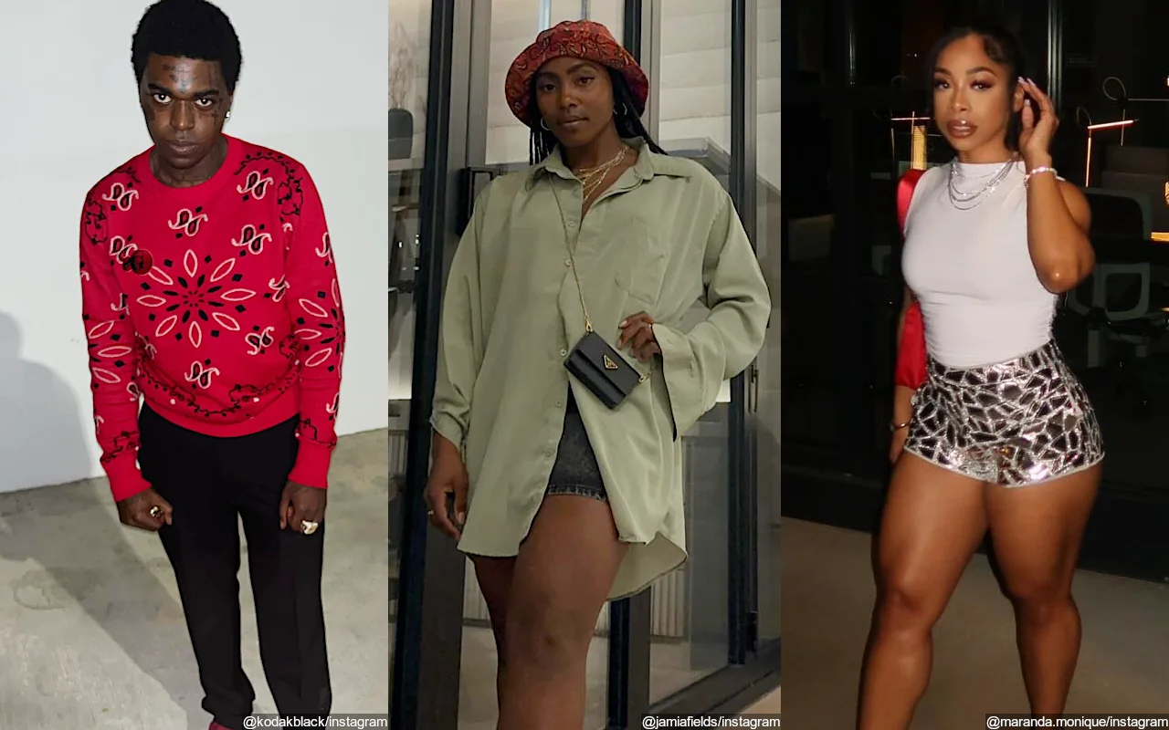 Kodak Black's Baby Mamas Reportedly Brawl After Trading Shots Online