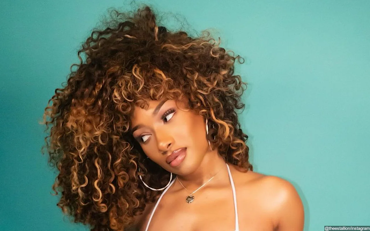 Megan Thee Stallion Wins as Judge Throws Out 'Savage' Copyright Infringement Lawsuit