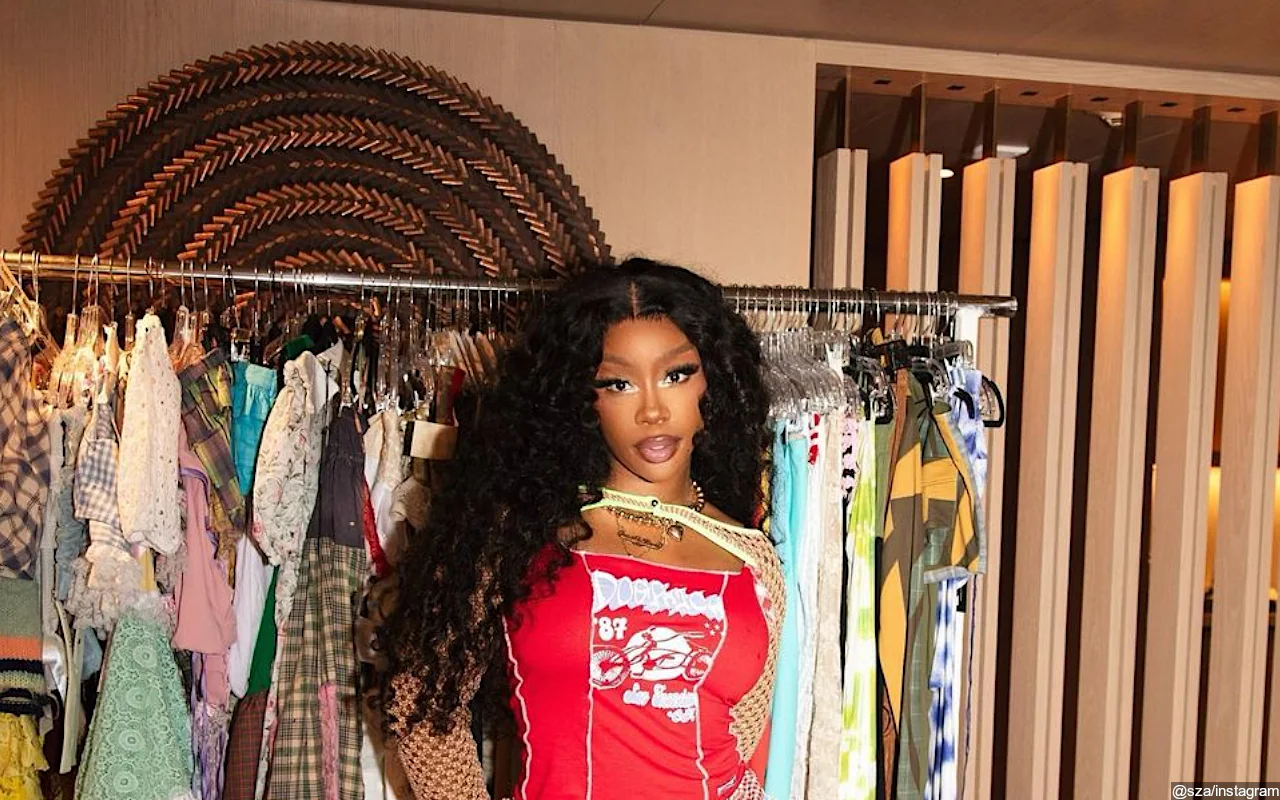 SZA Nearly Unrecognizable at Kendrick Lamar's 'Pop Out' Show