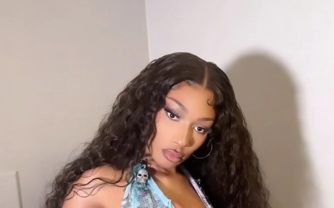 Megan Thee Stallion Fuels Tension With Drake by Performing Kendrick Lamar's Diss Track on Tour