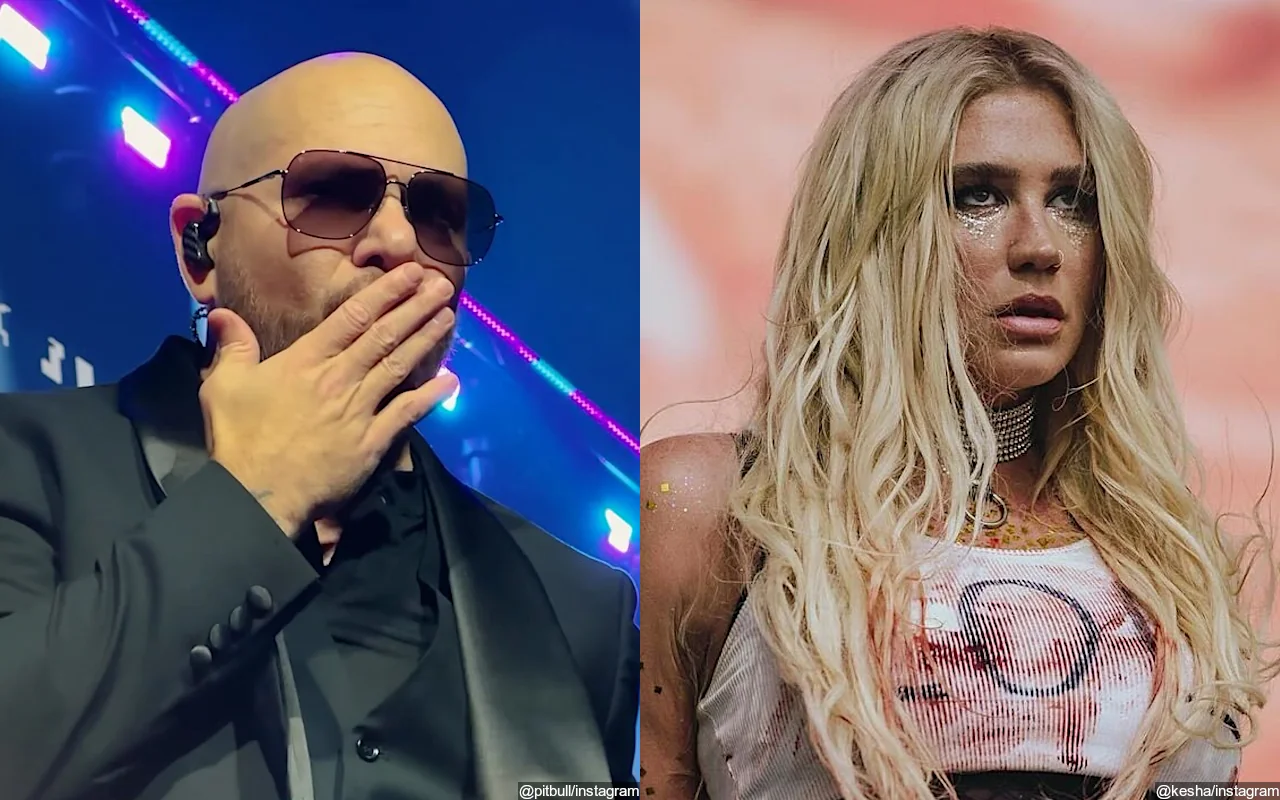 Pitbull Shows Love to Kesha After Her Name Got Removed From Their Song 'Timber'