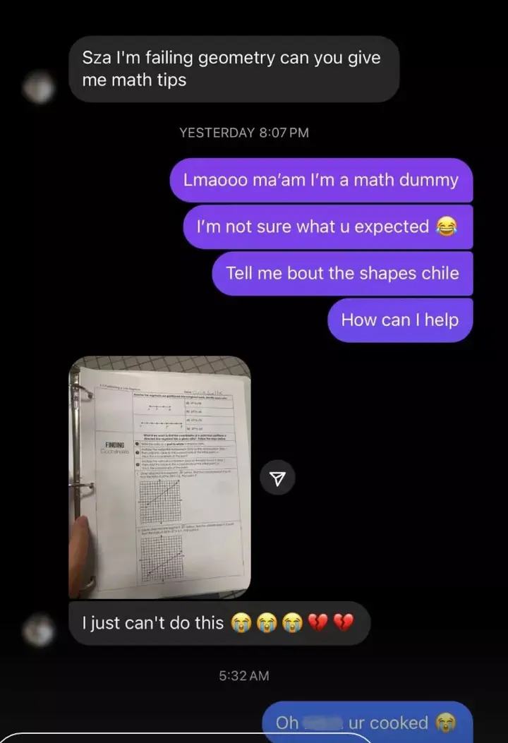 SZA's hilarious DMs with a fan