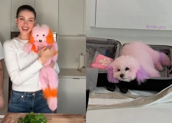 Nicole Peltz and Brooklyn Beckham show their dyed dogs