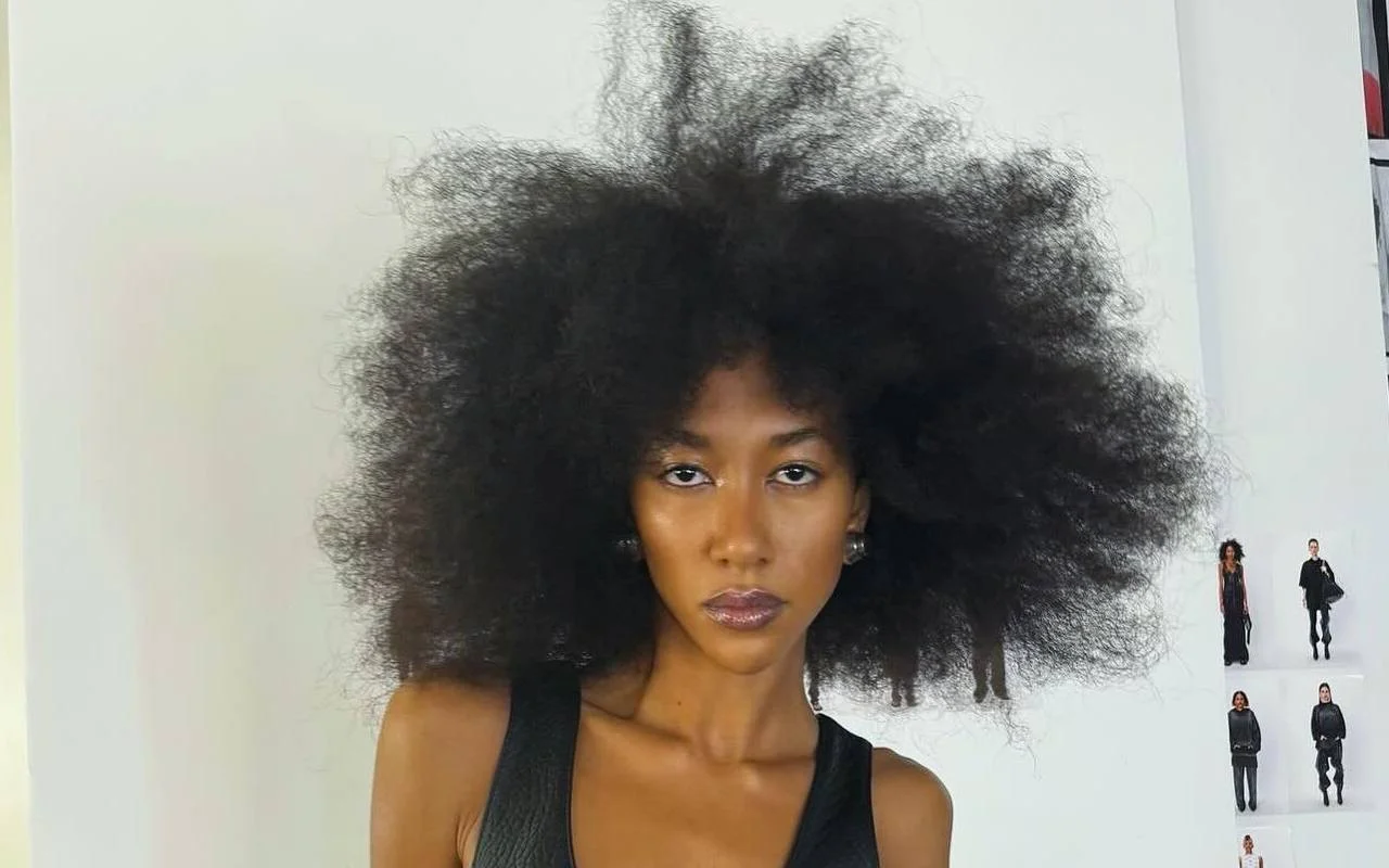Aoki Lee Simmons Retracts Comments on Quitting Modeling Career