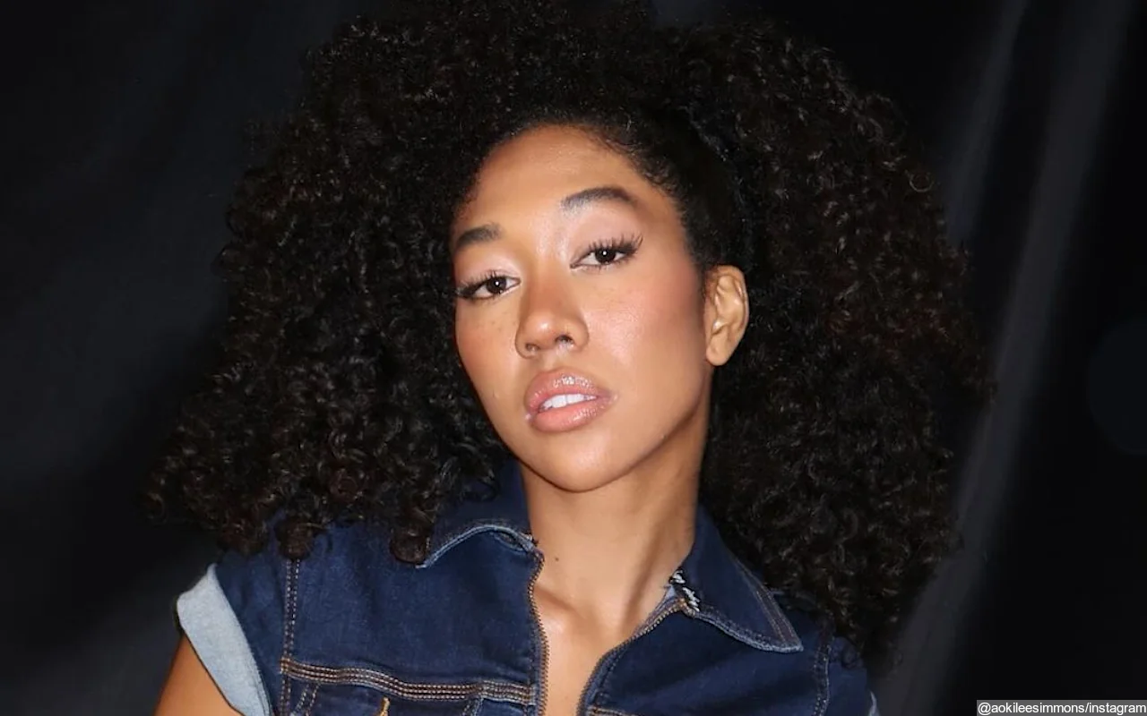 Aoki Lee Simmons Breaks Silence After Sparking Concerns About Her Mental Health