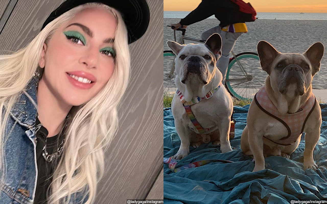 Lady GaGa's Gustav and Koji