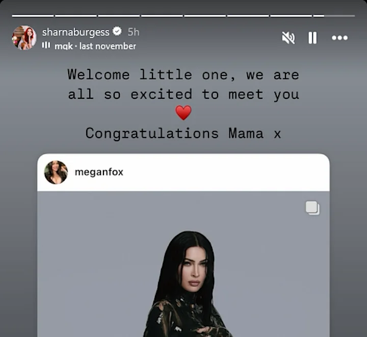 Sharna Burgess' Instagram Story post