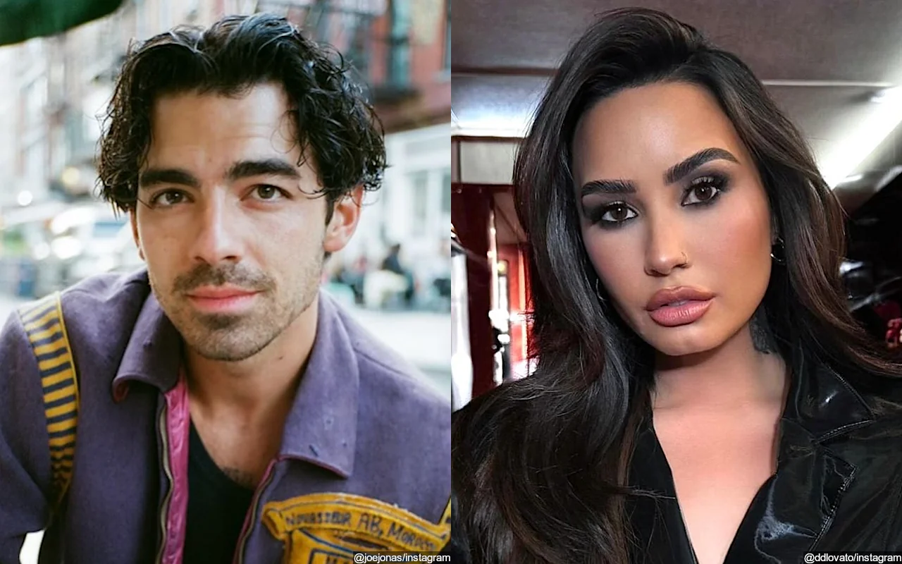 Joe Jonas Pokes Fun at Ex Demi Lovato's Viral 'I Like Mugs' Moment