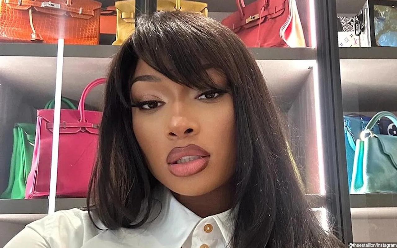 Megan Thee Stallion Signs Off From Instagram for the Rest of 2024 With Twerking Video