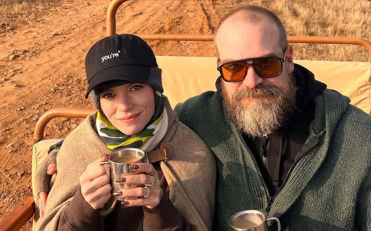David Harbour 'Taking Life Day by Day' Amid His Split From Lily Allen