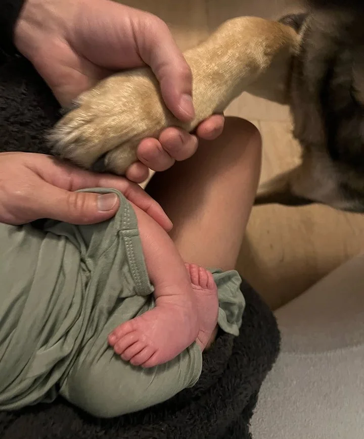 Milo Ventimiglia's wife shares a glimpse of baby's feet