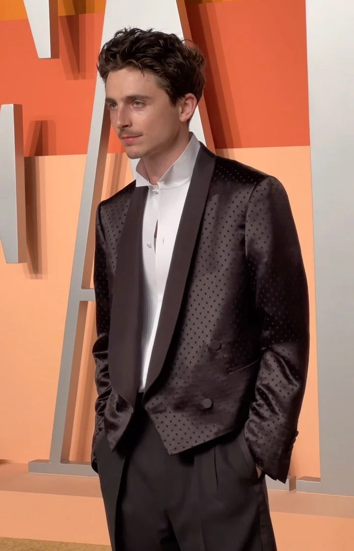 Timothee Chalamet at Vanity Fair Oscar After-Party