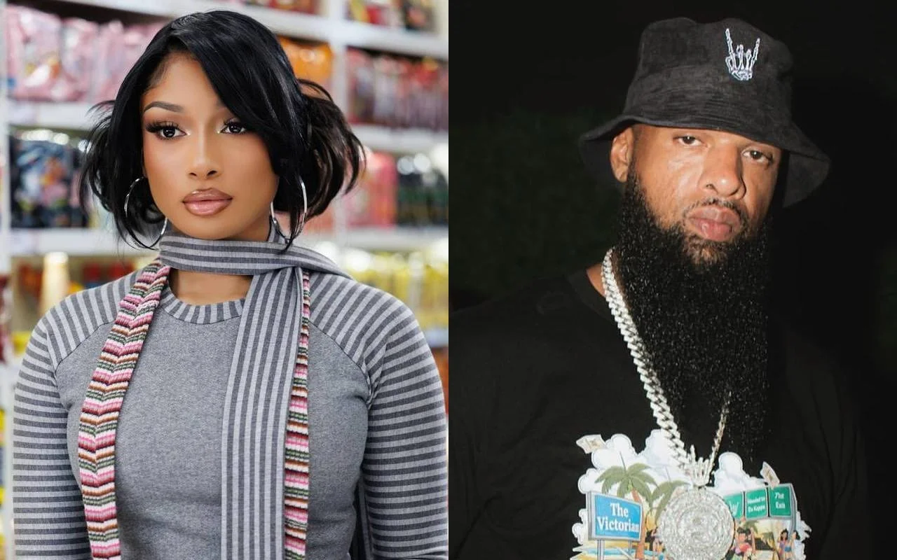Megan Thee Stallion Pours Cold Water on Slim Thug's Flirty Remarks 